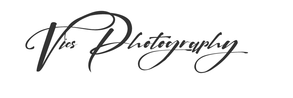 wedding videographer ireland